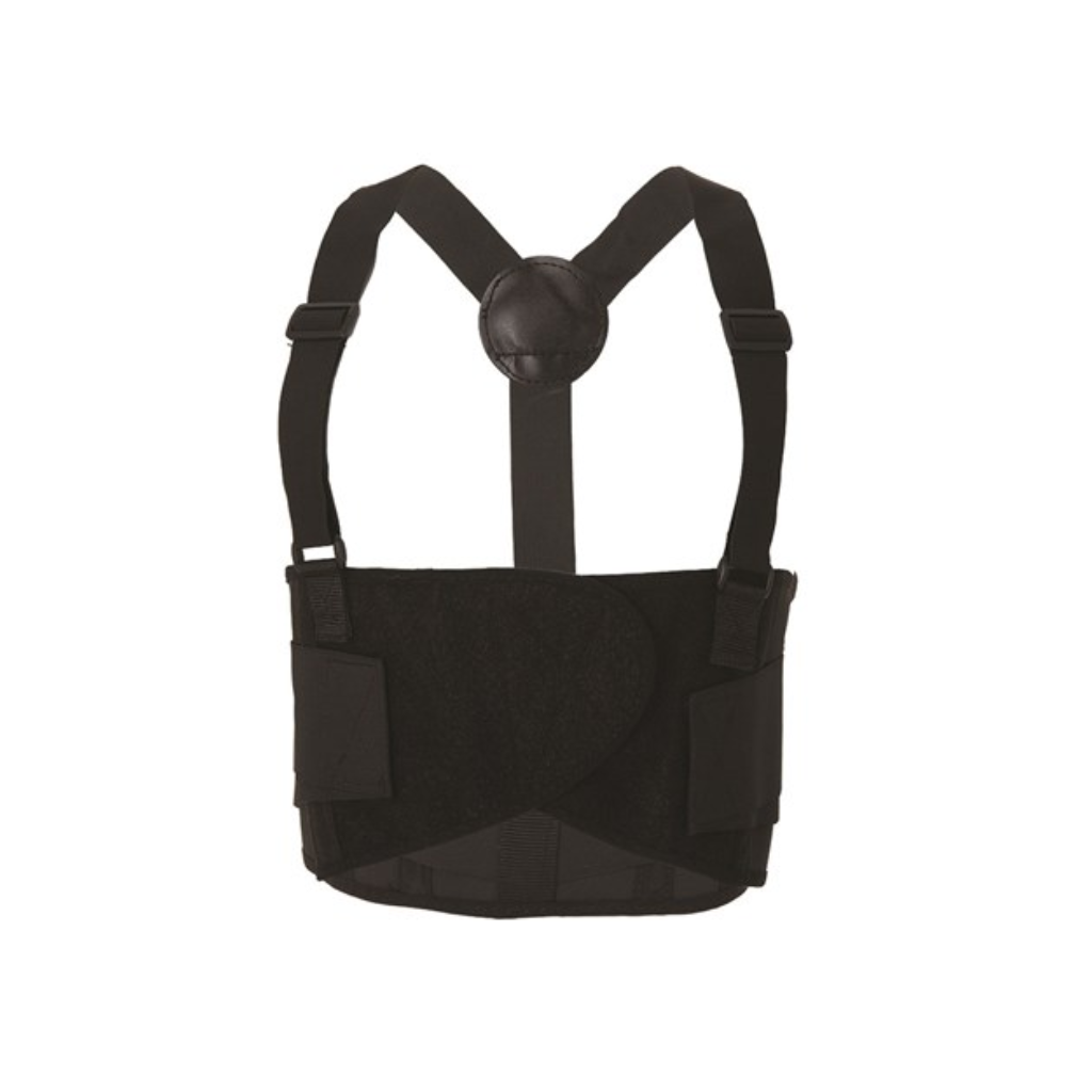 ProSafety Back Support Belt
