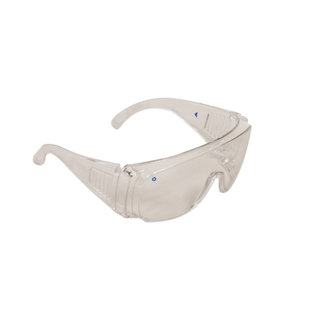 ProChoice Safety Glasses Visitors Clear Lens